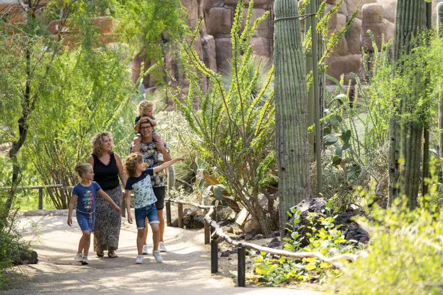 Belevingsfotos gezin desert en mangrove